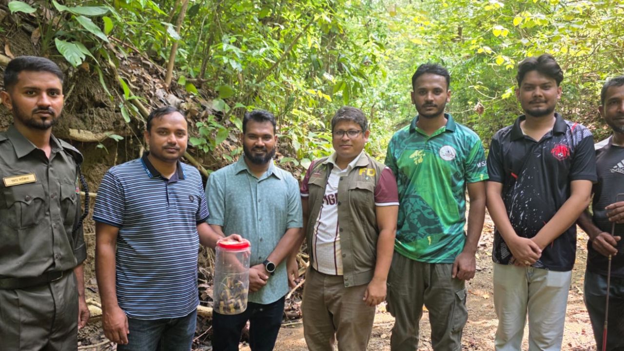 কাপ্তাই জাতীয় উদ্যানে বিষধর শঙ্খিনী সাপ অবমুক্ত।